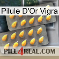 Vigra Gold Pill cialis2